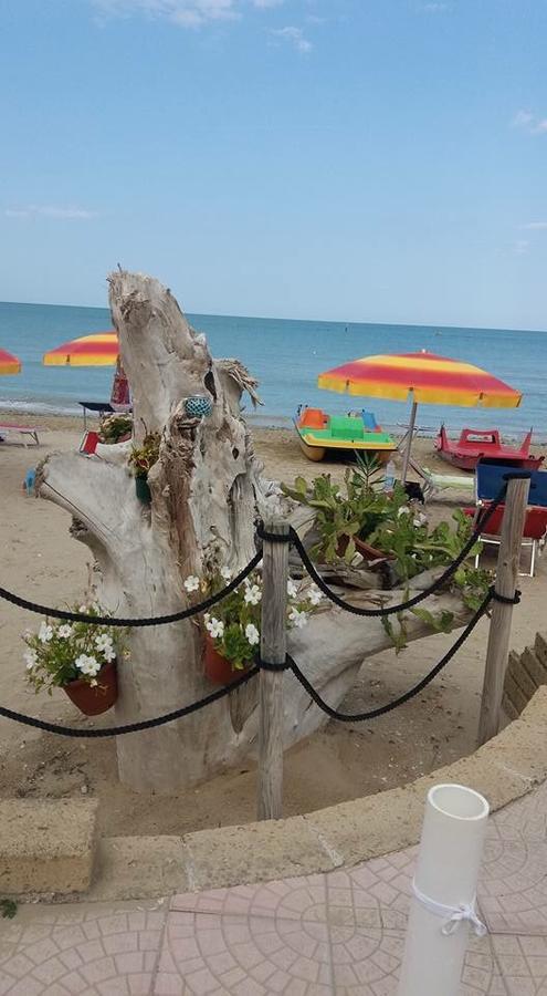 B&B El Gatt Marotta Dış mekan fotoğraf